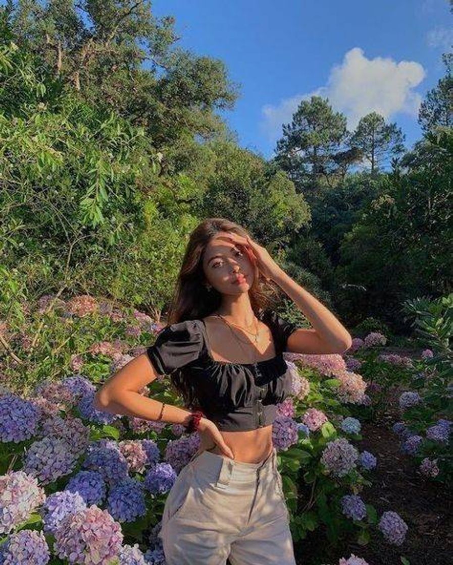 Social Pose com plantas
