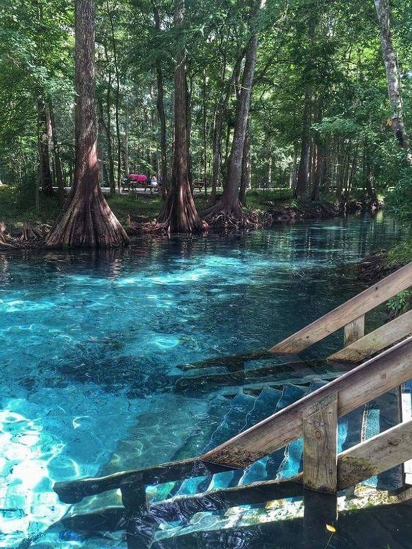 Lugar Ginnie Springs