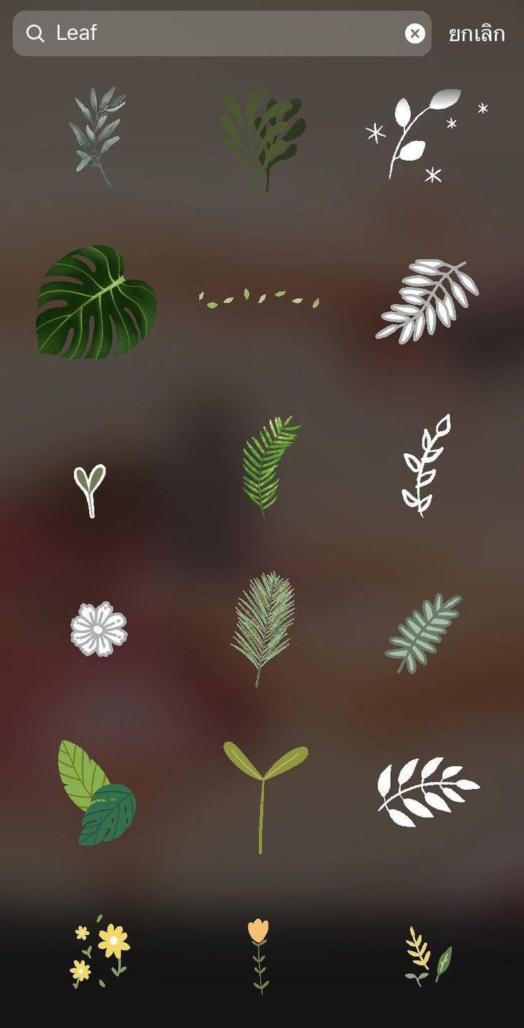 Fashion Gifs de plantas/folhas 🌿