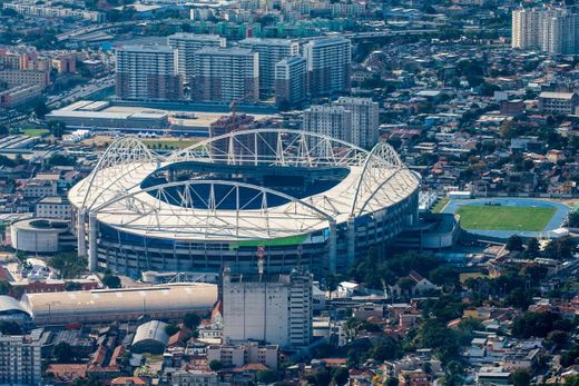 Estadio Olímpico Nilton Santos