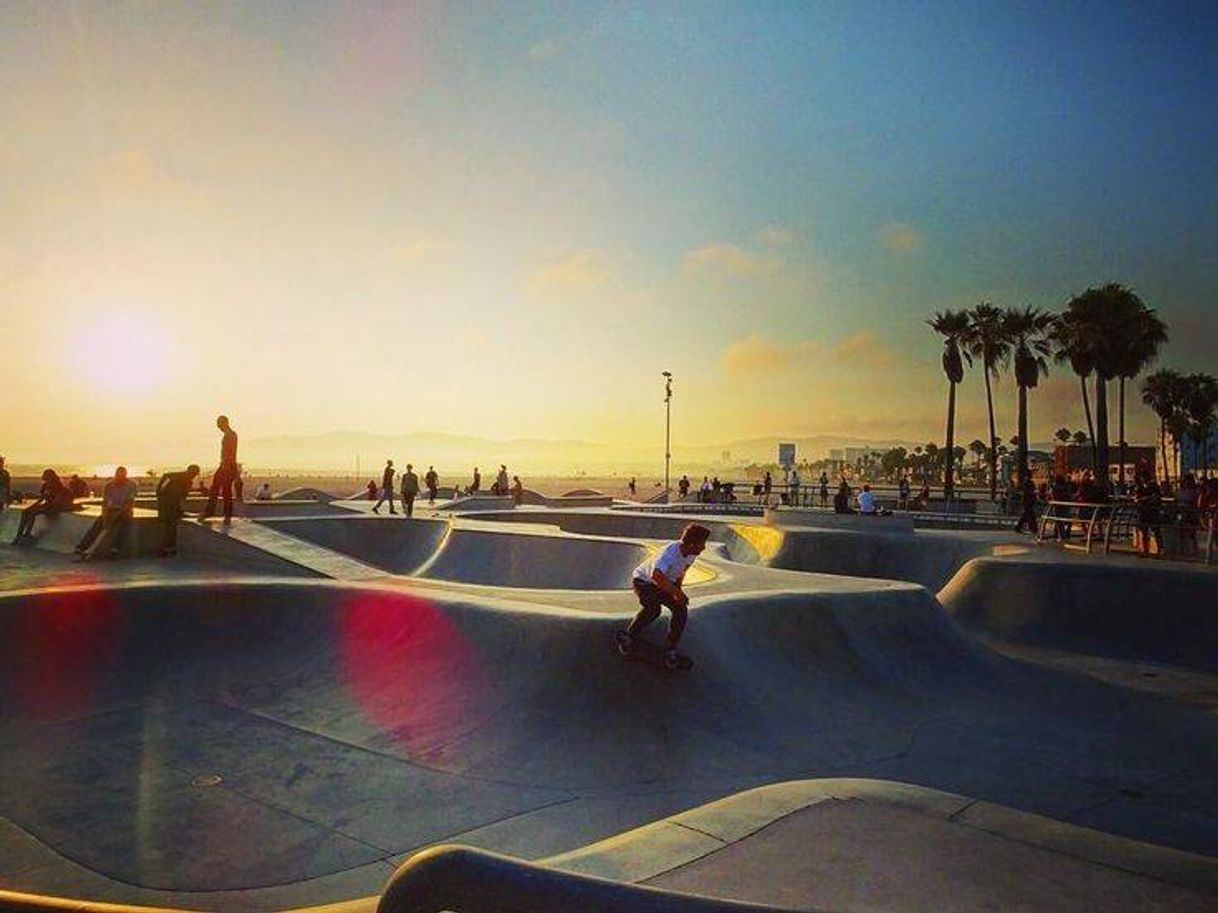 Lugar Venice Skate Park