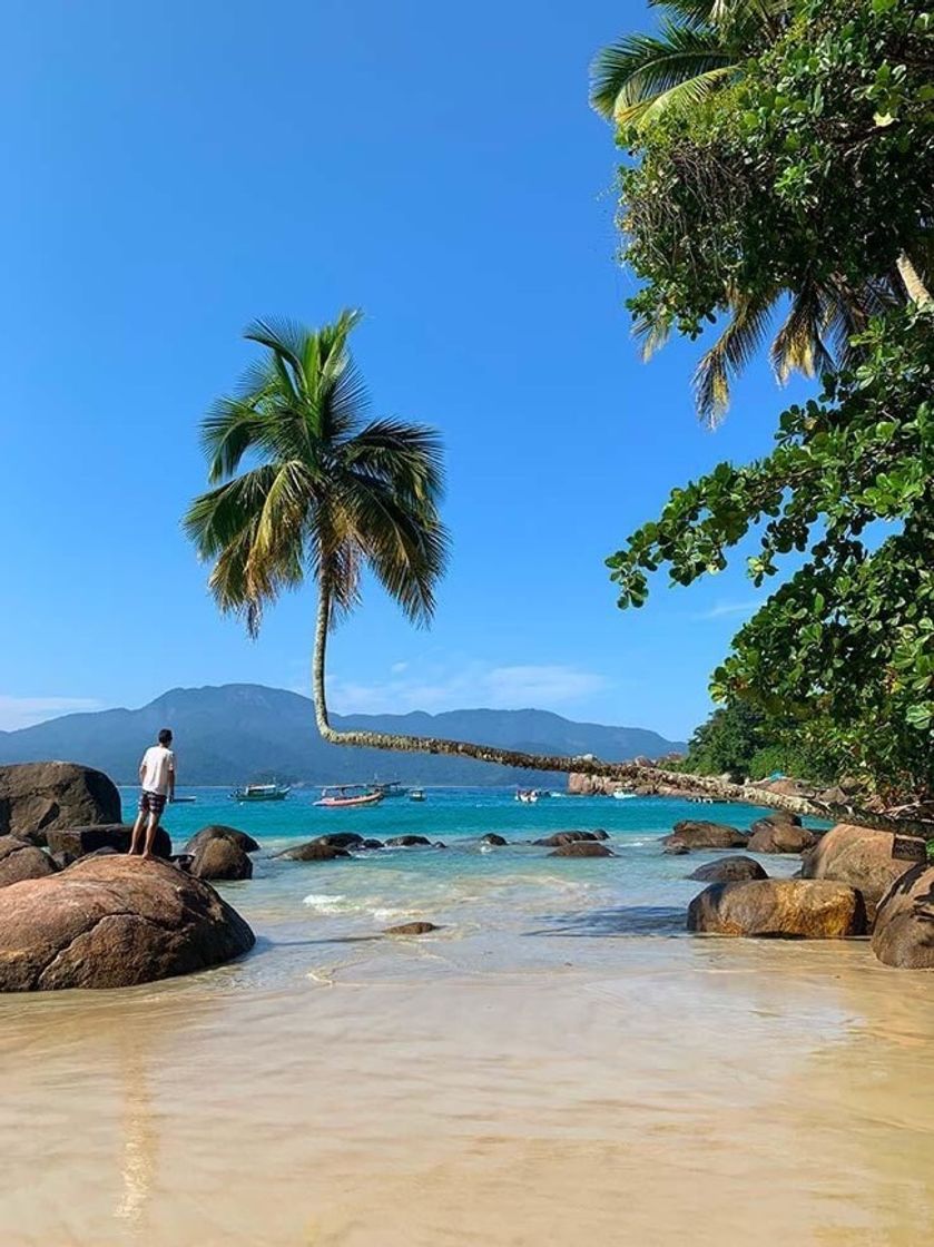 Fashion ANGRA DOS REIS ✨