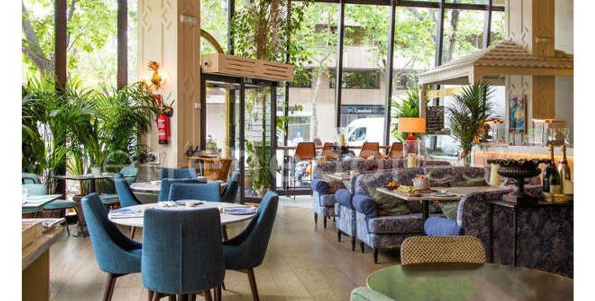 Sushita Café
