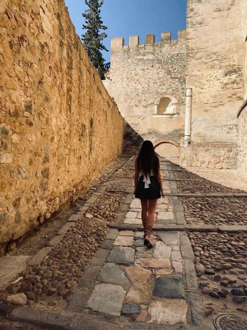 Place Alcazaba de Badajoz