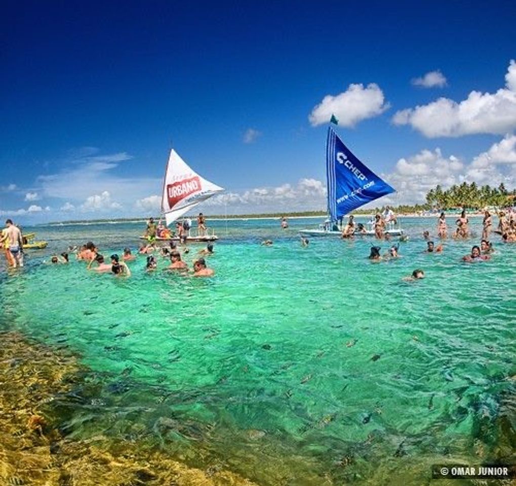 Moda Porto de galinhas 