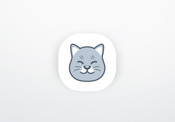 Curious Cat