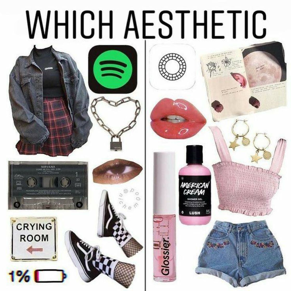 Fashion aesthetics trend