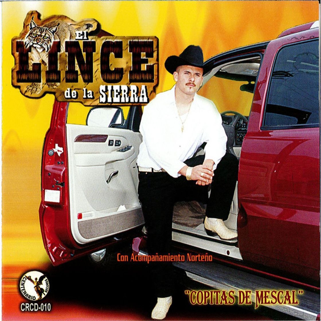 El lince de la sierra