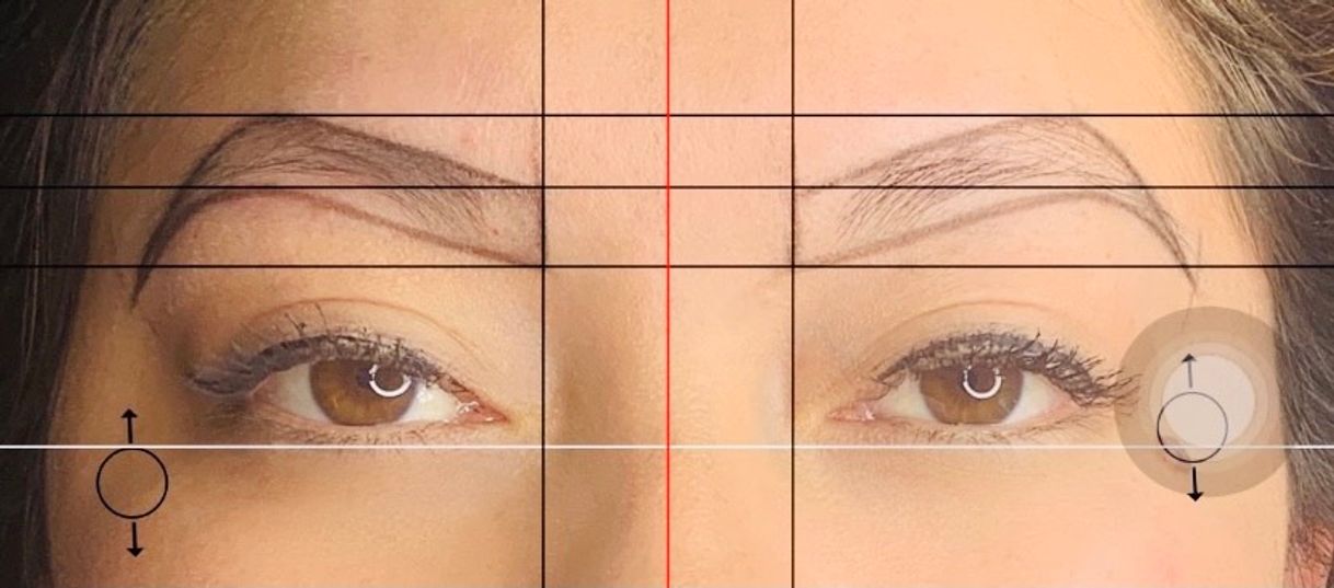 Moda Especialista en cejas 