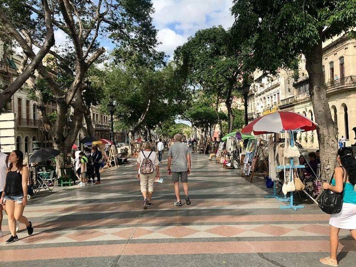 Lugar Paseo del Prado