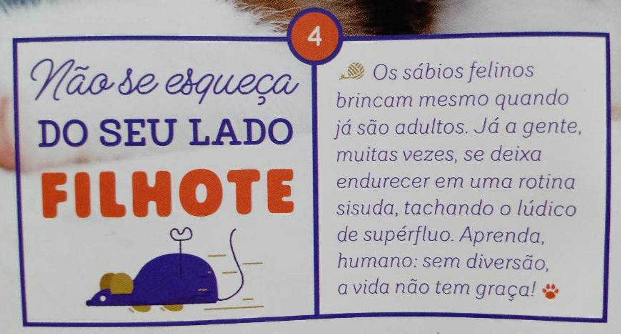 Producto O que os gatos nos ensinam