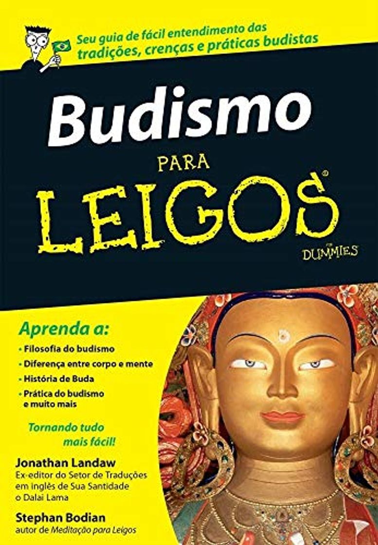 Book Budismo Para Leigos