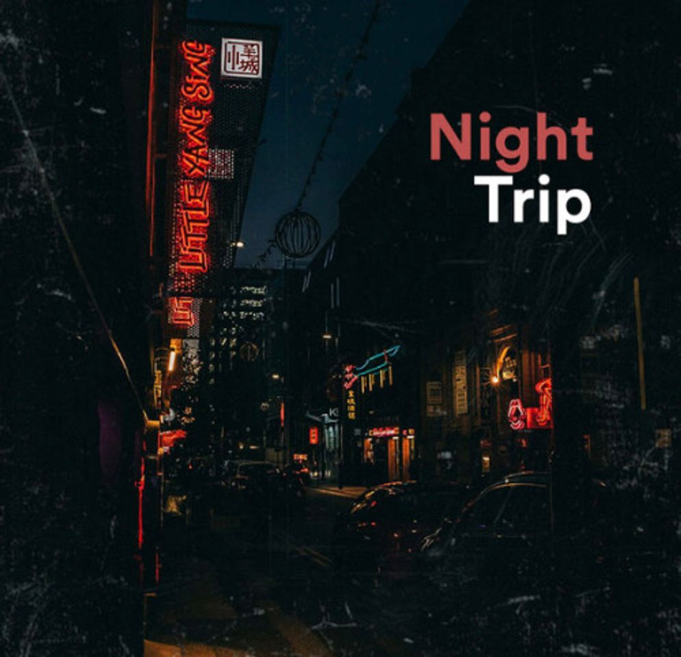 Music Night Trip Playlist 