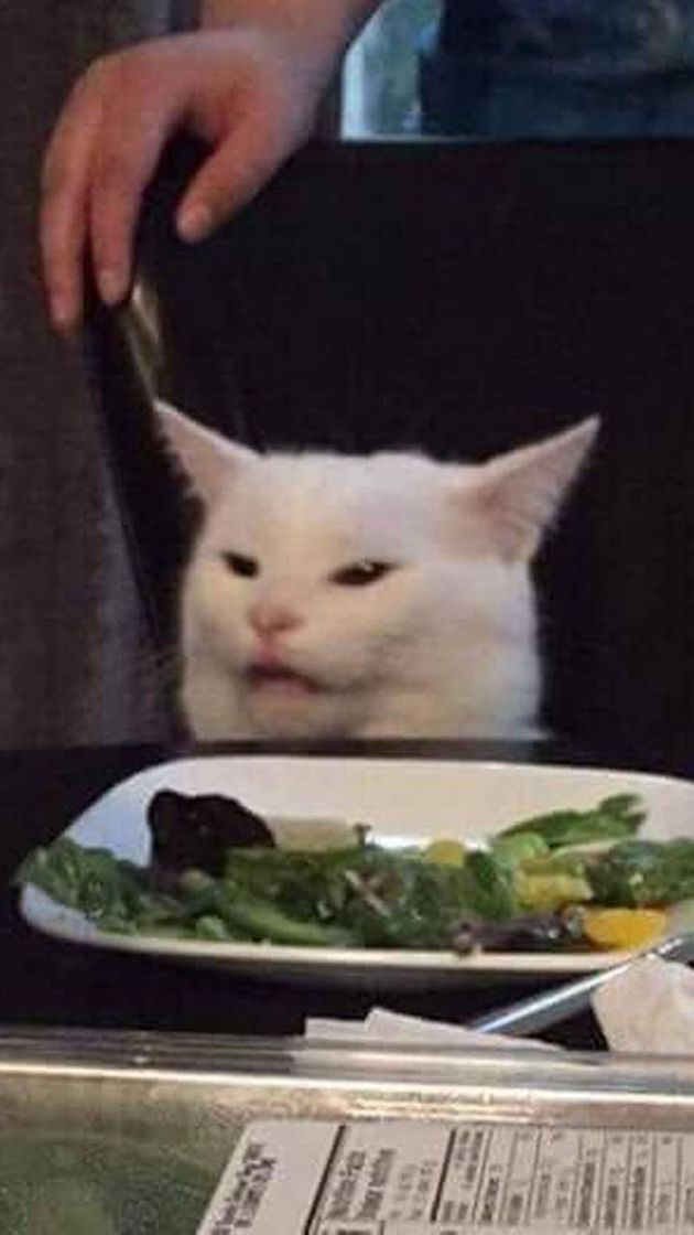 Social Cat wallpaper by Strawberry_bear404 - 73 - Free on ZEDGE™