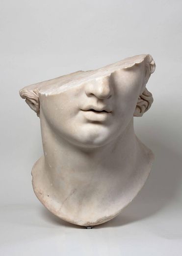 Colossal head of a youth 