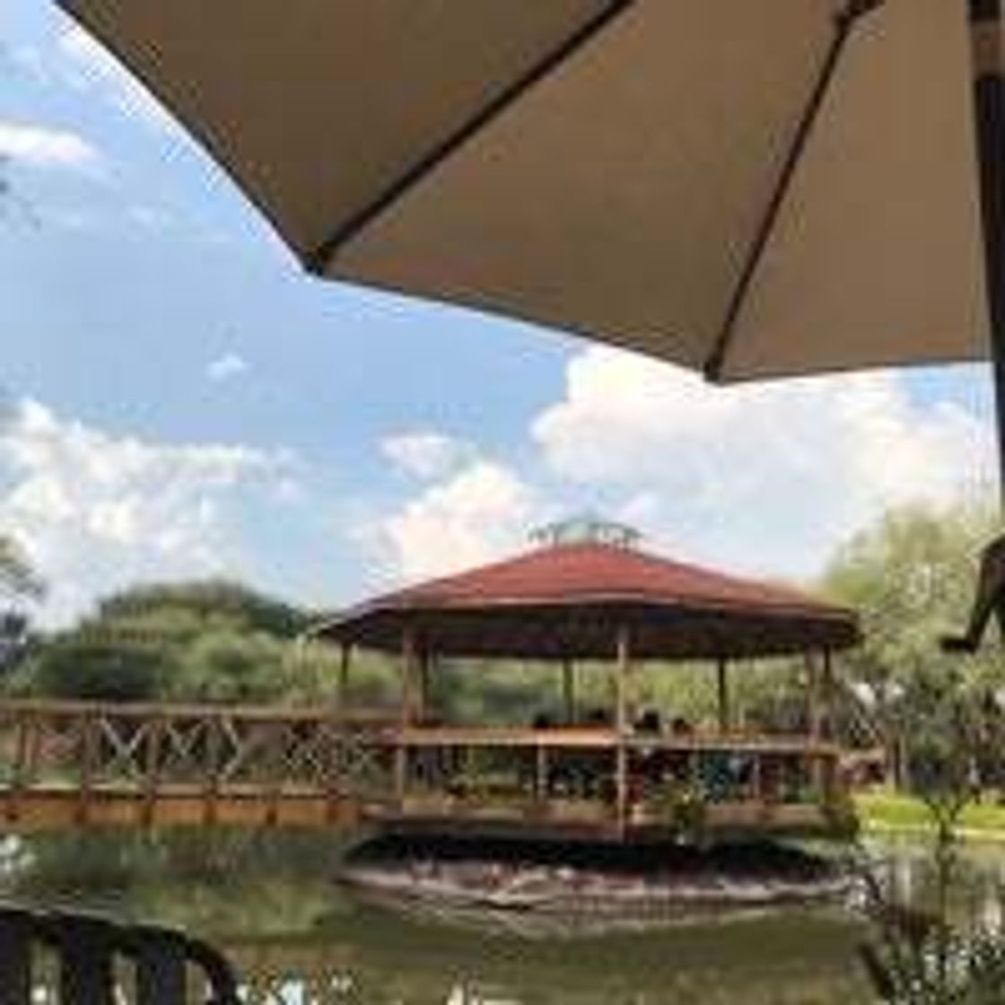 Restaurantes Mama Mia Campestre