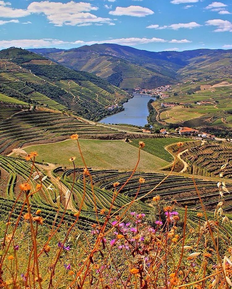 Lugar Vale do Douro