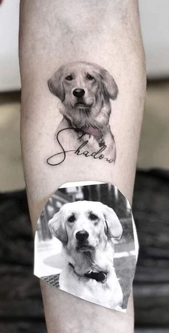 Fashion Dogtatto