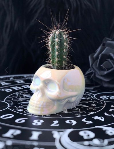 Maceta calavera