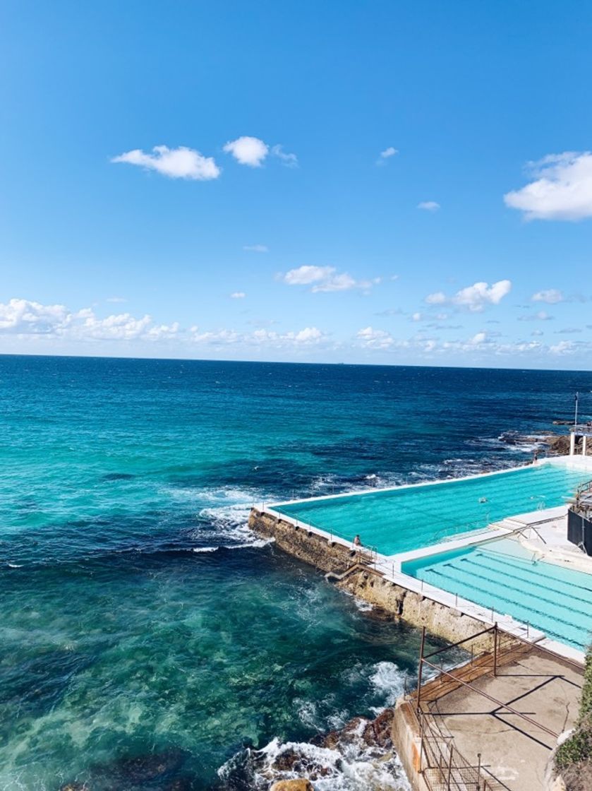 Place Bondi Beach