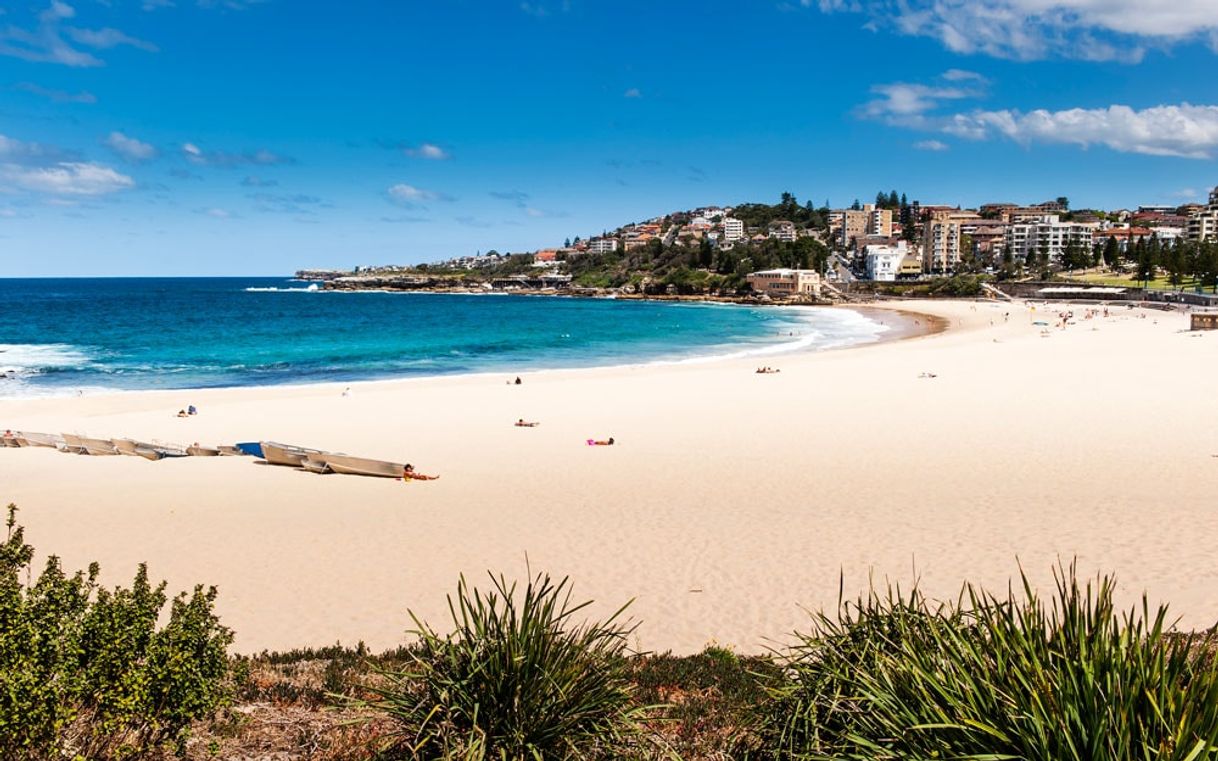 Place Coogee Beach