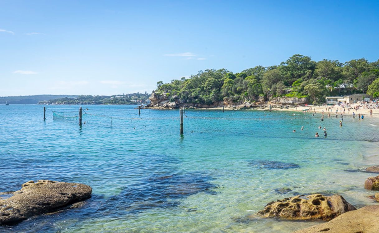 Lugares Shark Beach