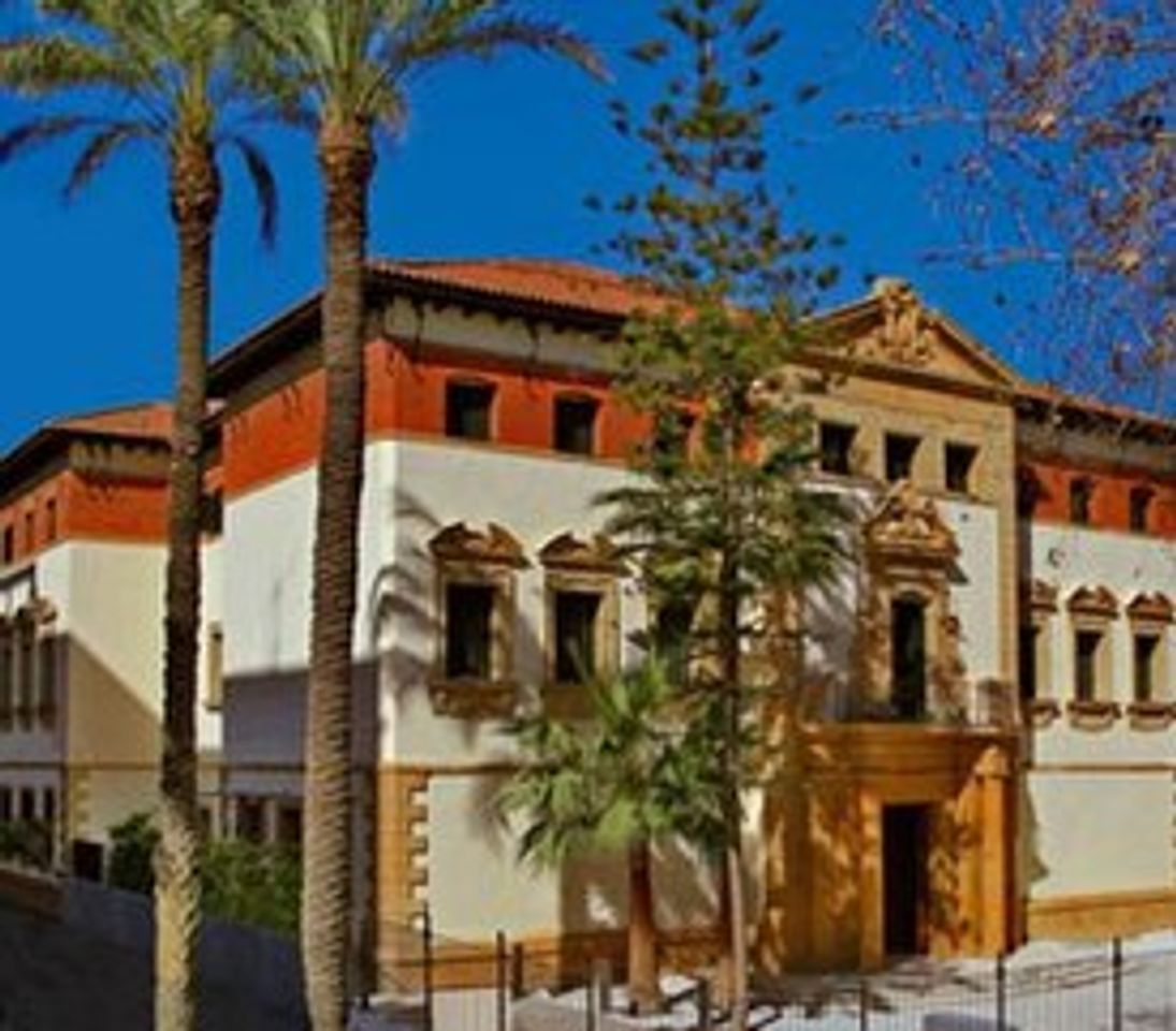 Lugar Museo Arqueológico de Murcia (MAM)