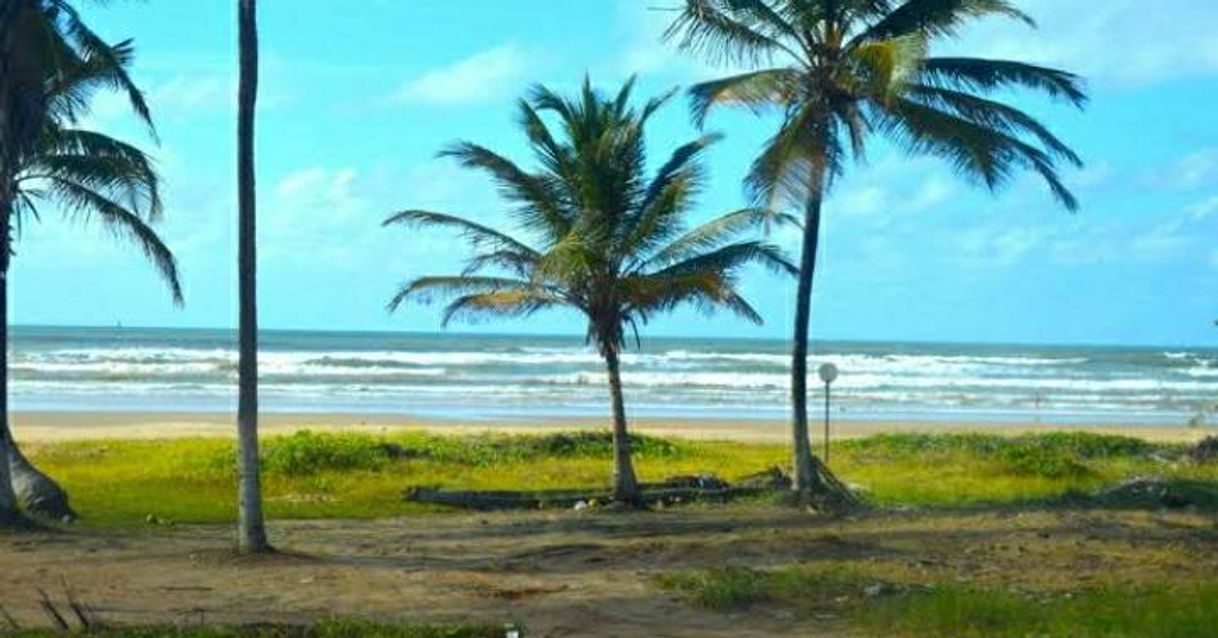 Lugar Praia da Aruana