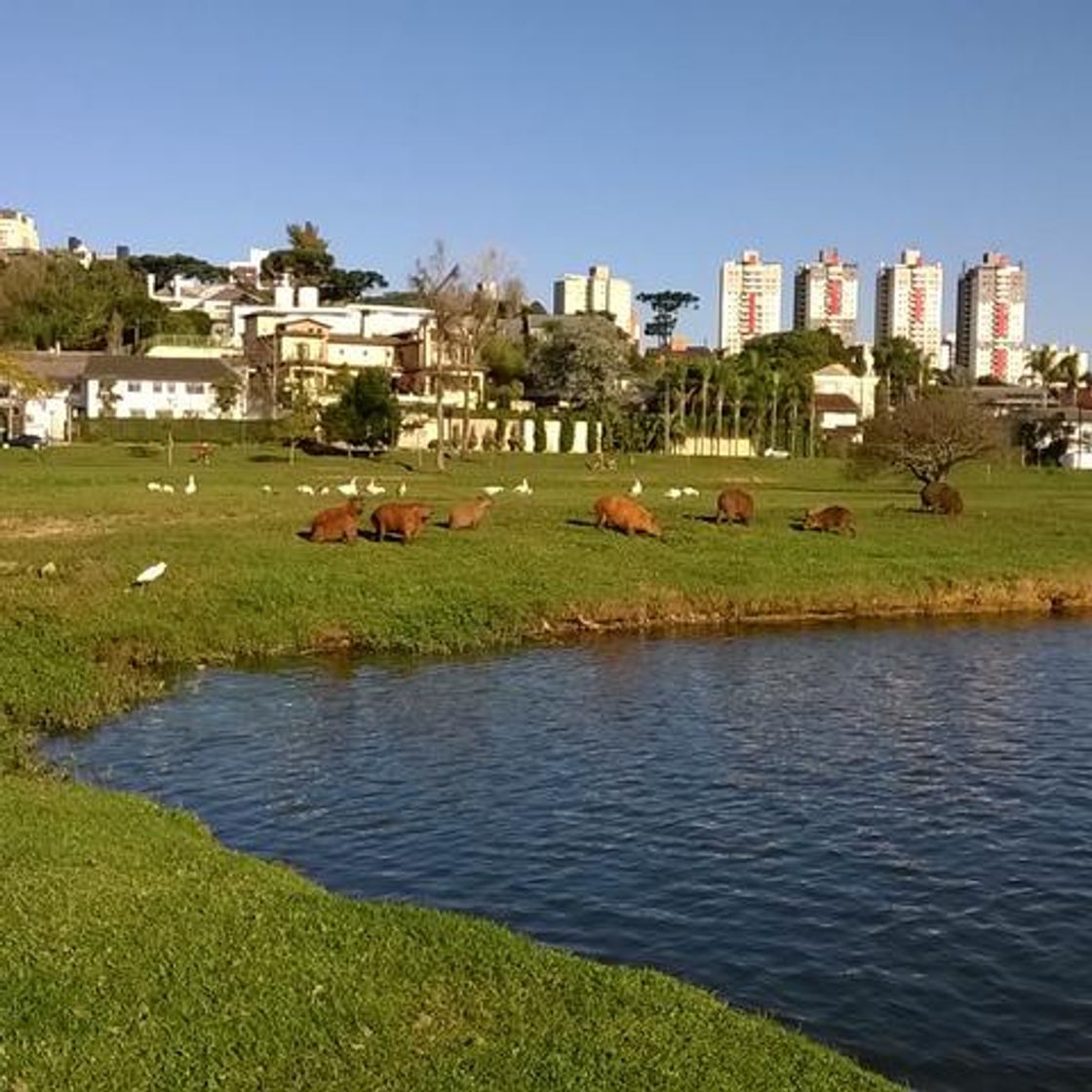 Place Parque Barigui