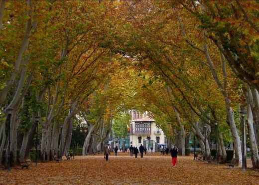 Parque Urbano Abelardo Sánchez