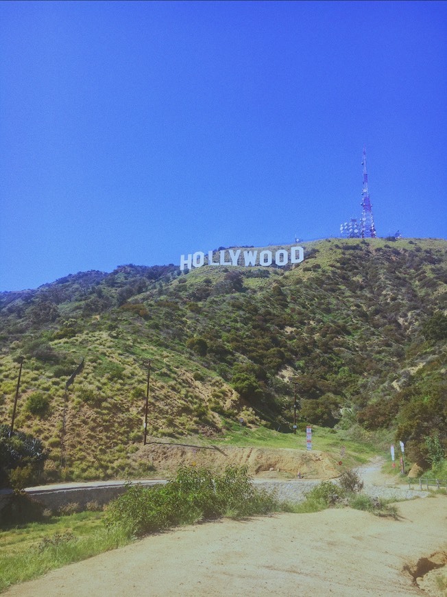 Place Hollywood Sign