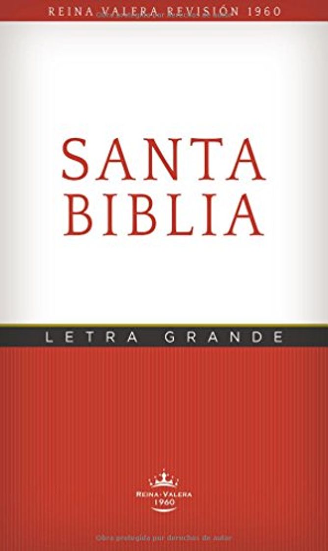 Book Rvr60 Santa Biblia -Edicion Economica Letra Grande