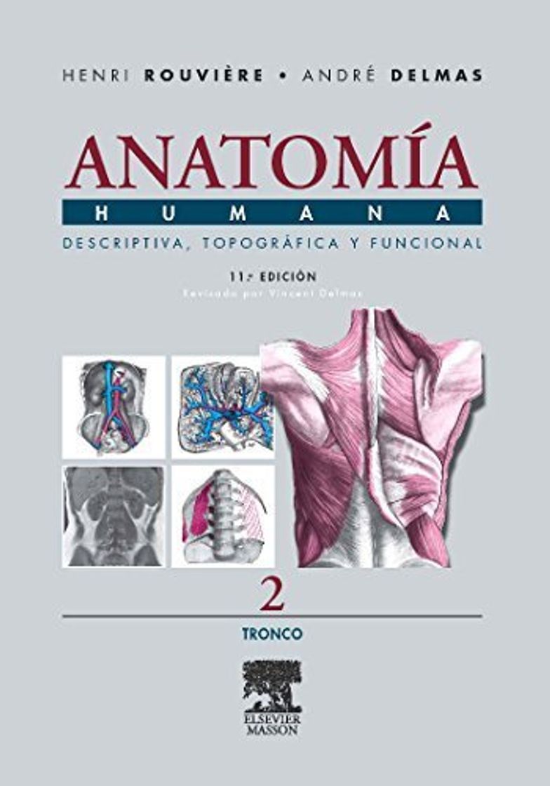 Libro Anatomia Humana Descriptiva, topografica y funcional. Tomo 2. Tronco