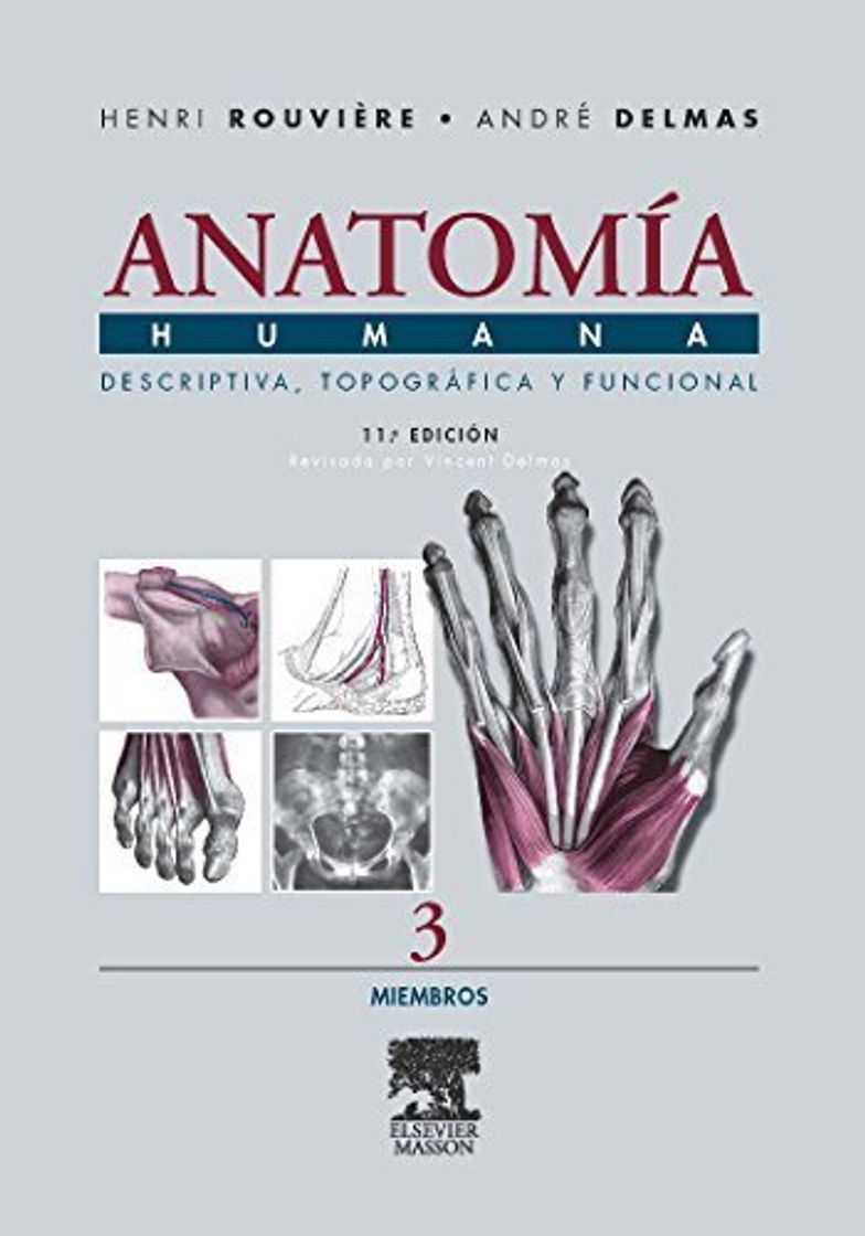 Libros Anatomia Humana Descriptiva, topografica y funcional. Tomo 3. Miembros