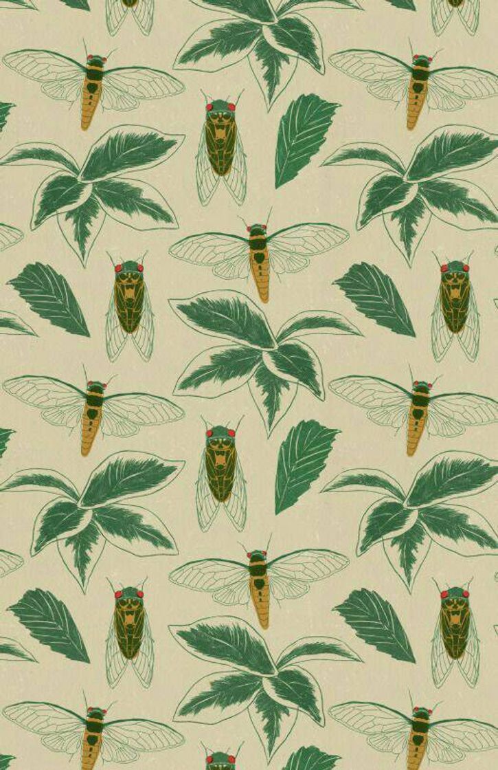 Fashion Fondo de insectos 🐝