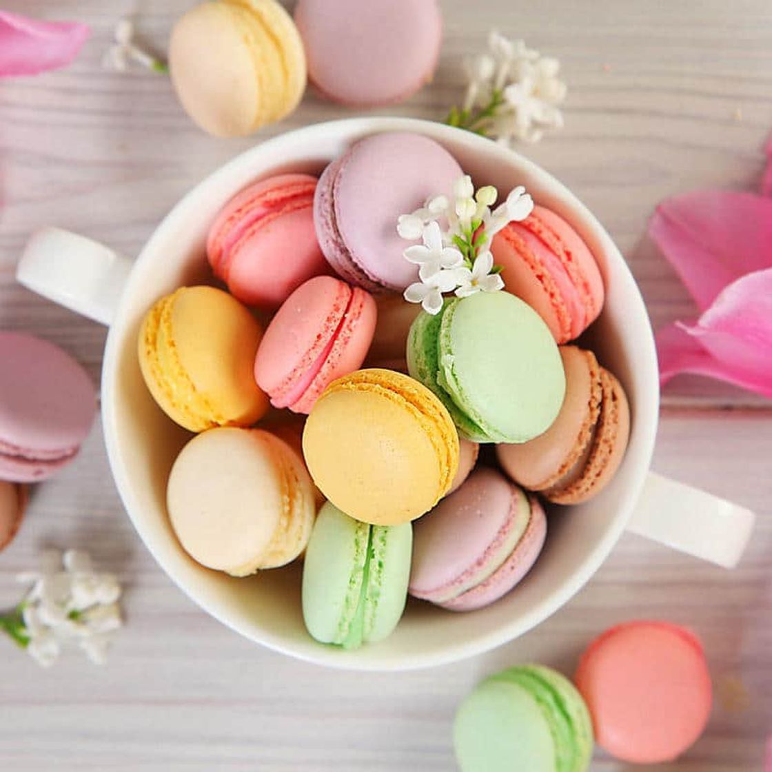 Moda Macaron