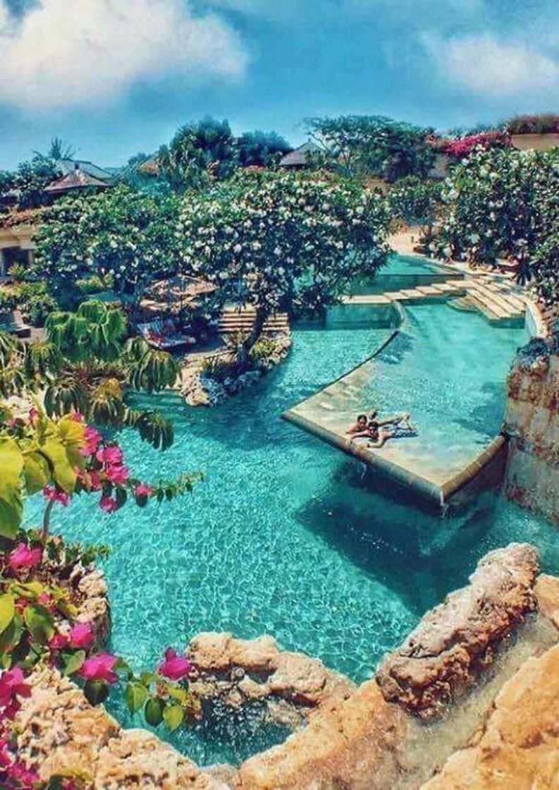 Social Hermosooo🌺