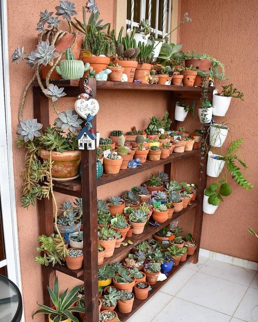 Moda Vocês também amam umas plantinhas?