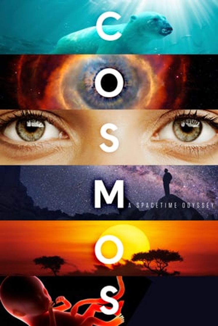 Serie Cosmos: Una odisea en el espacio-tiempo