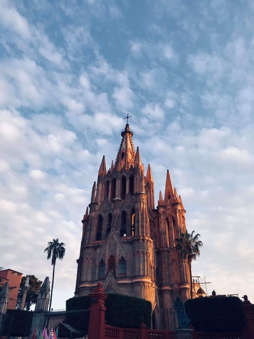 Place San Miguel de Allende