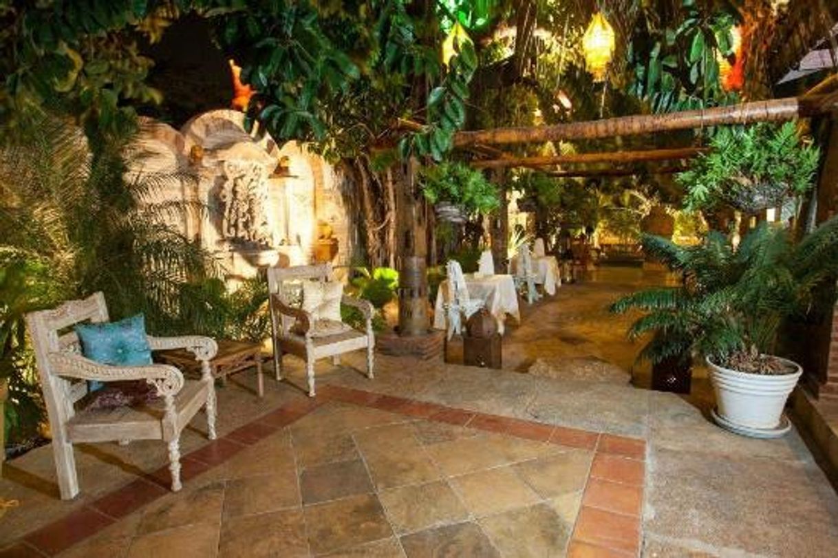 Restaurants Jardim do Alchymist | em Fortaleza