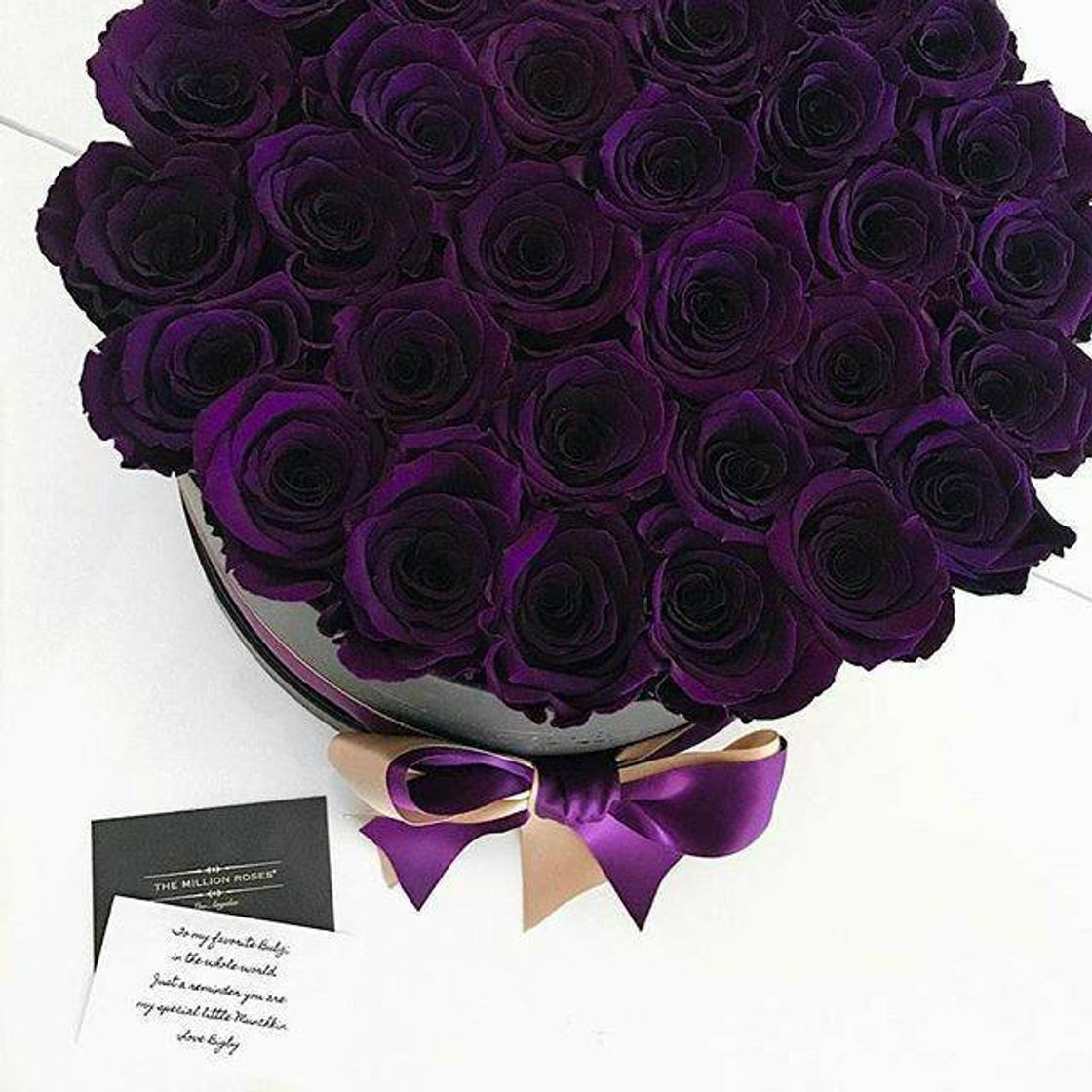 Moda Roses 💜