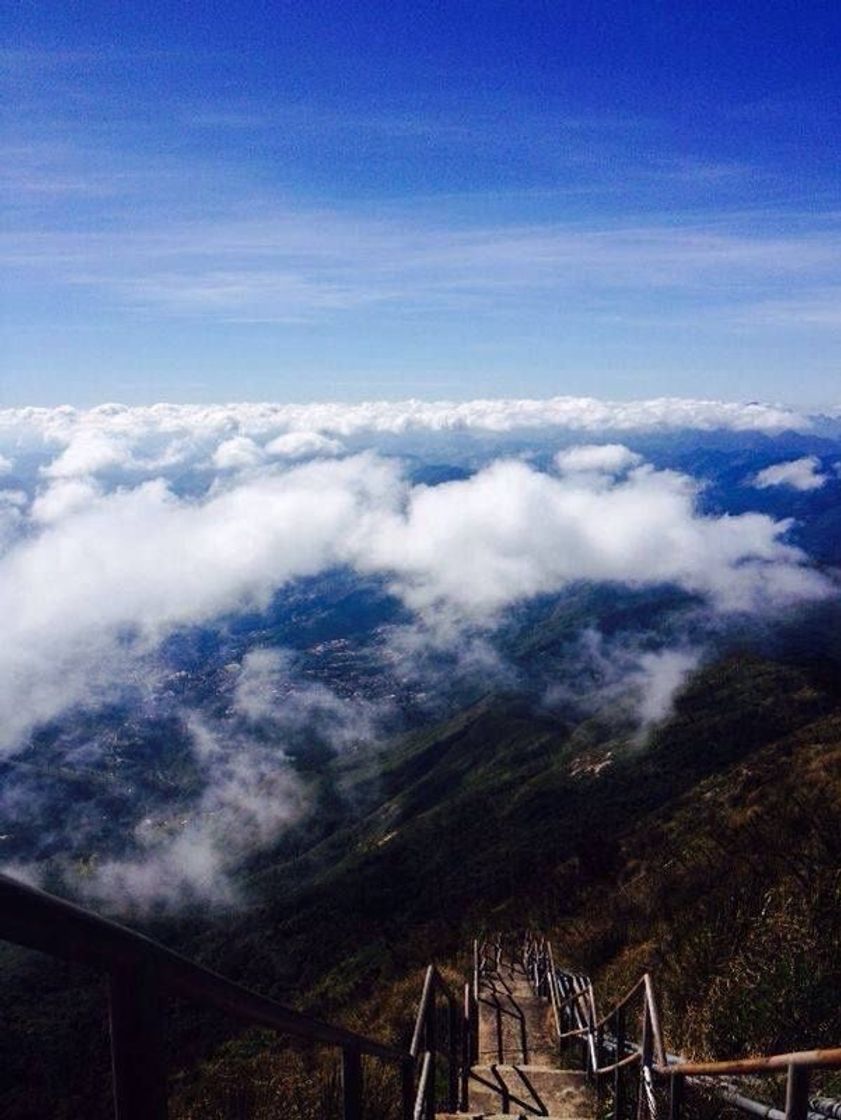 Moda pico do caledônia - nova friburgo (rj)