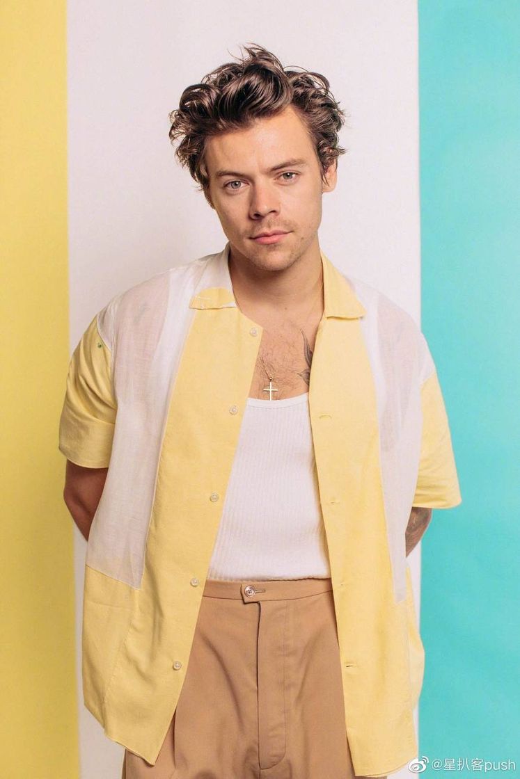 Fashion HARRY STYLES