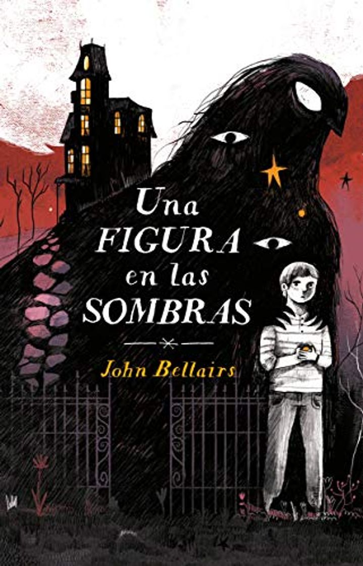 Book Una Figura En Las Sombras / The Figure in the Shadows