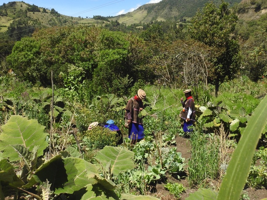 Lugar Jardín Botánico las Delicias