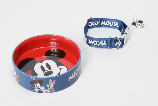 Set De Accesorios || Disney •Cuenco•Collar+placa•