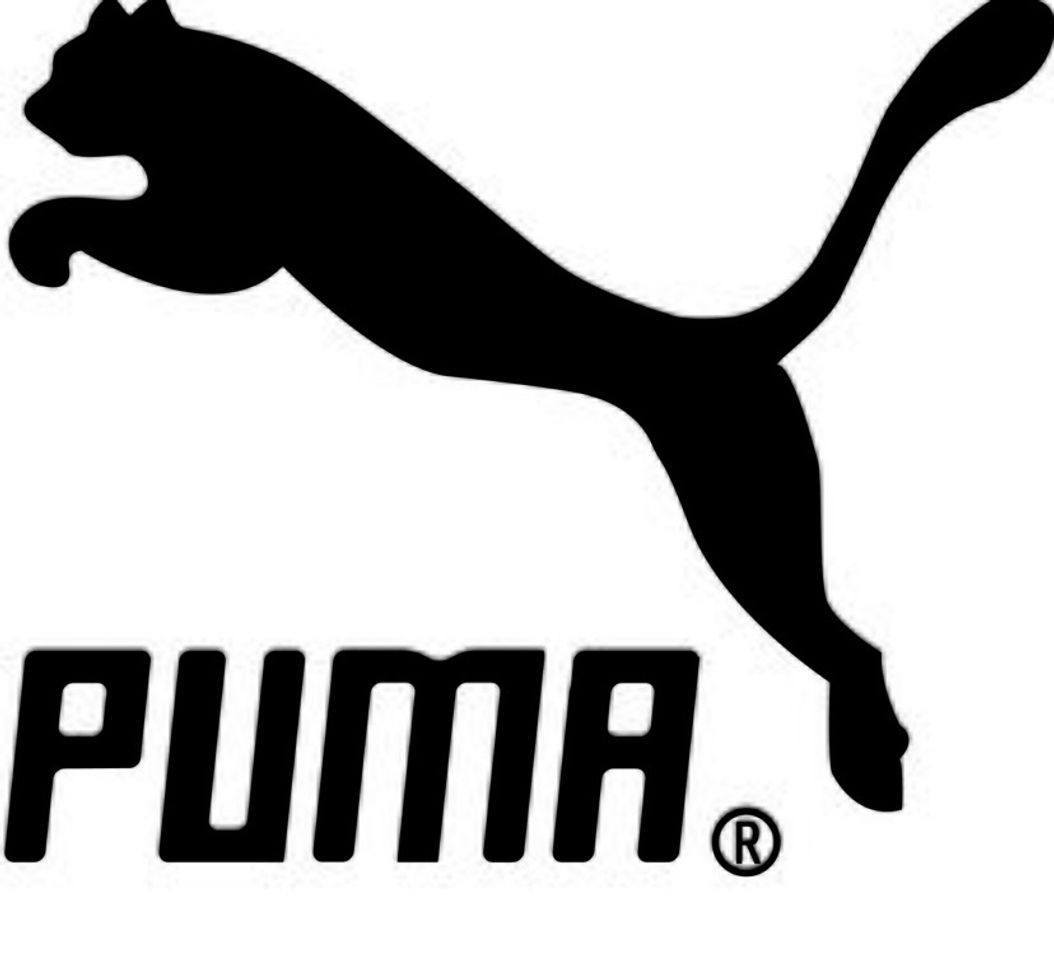 Fashion Puma 