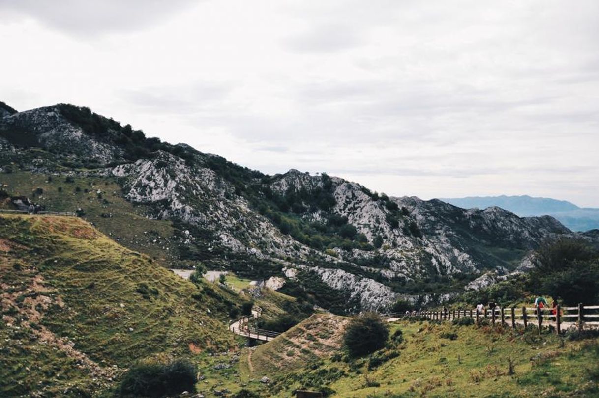 Lugar Lagos de Covadonga