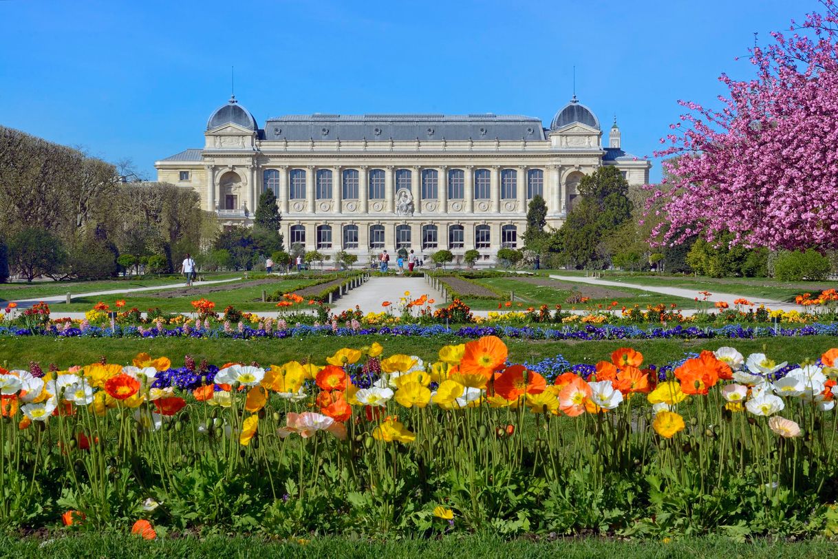 Place Jardin des Plantes